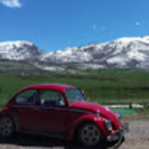 Meet your Posher, Lindey